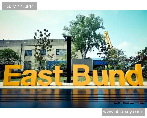 球场传奇与梦想之路：一位足球巨星的成长与荣耀